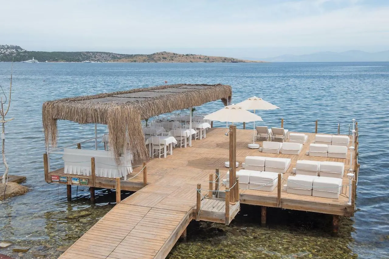 Madda Hotel Golturkbuku