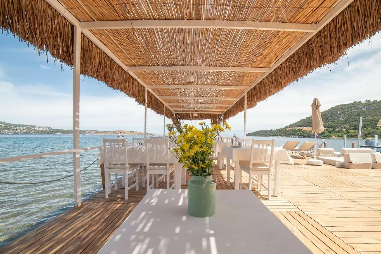 Madda Hotel Golturkbuku